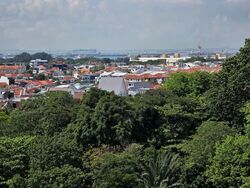 Tanah Merah Kechil Link (D16), Condominium #556553701